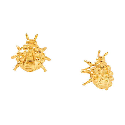 Aretes de Catarina 2002-15 Chapa de Oro